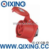 Three Phase Cee Socket with Panel Mounted (QX-1399)