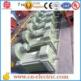 380V 25kw Rolling Mill and Sugar Mill AC Electric Variable Frequency Motor