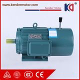 Iron Three Phase AC Electrical Asynchronous Motor