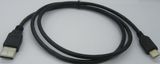 USB3.1 C Type Cable, One Side Is USB a Male Connector, The Other Side Is USB3.1 C Type Connector, Cu