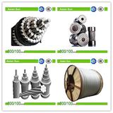 All Aluminum Conductor AAC Cable