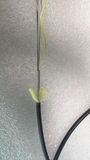 High Quality Field Fiber Optic Cable 2 Cores for Army