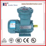 Explosion-Proof Single Phase Induction Electric (Electrical) Motor
