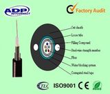 Hot! ! ! Outdoor Loose Tube 2~24 Core Sm   Aerial   Fiber   Optical Cable (GYXTW)