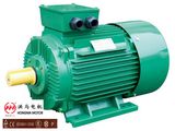 GOST Standard Three -Phase Asynchronous Motor (1.1KW)