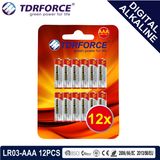 1.5V Digital Alkaline Battery Dry Battery with BSCI (LR03-AAA 12PCS)