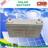 Nps120-12 12V 120ah Rechargeable Deep Cycle Solar Battery