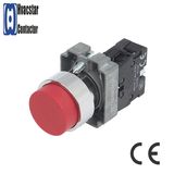 Extended Push Button Switch with Competitive Price