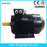 Ye3 Three-Phase Premium Efficiency Cast Iron Induction Electric Motor