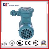Yb3-80m1-4 Ex-Proof Asynchronous Lift Motor for Crusher