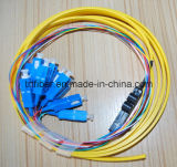 Flat Ribbon 12core Sc/Upc Fiber Optic Pigtail