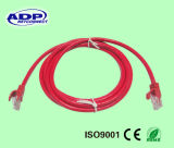 Network Cable Patch Cat5e/CAT6 Jumper Cable with Great Price