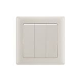 250V 10A 3 Gang 1 Way Momentary Push Button Switch