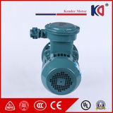 Yb3 Induction Ex-Proof Motor with Little Vibration