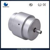 High Quality Bicycle 300 Watt DC Motor