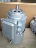 Brake Motor - Cast Iron - Standard Efficiency - Ie3