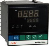 Digital Temperature Controllers Xmta-5000 Series 96X96X112mm