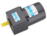 220V 50Hz 40w AC Indution Gear Motor