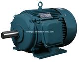 Y Series Three Phase Electric Induction Motor