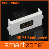 HDMI Wall Plate, AV Face Plate (9.1123)