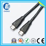 HDMI&DVI Cable CH40024