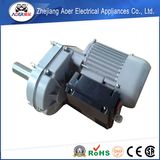 Beautiful Design Low Price Various Styles Electrical Gear Motor