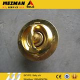 Sdlg Thermostat 111-8010 for Sdlg Loader Zl50g