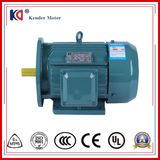 AC Electric (Electrical) Asynchronous Motor with Aluminum Frame