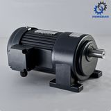 High Torque Induction 3-Phase AC Geared Motor with Brake_D