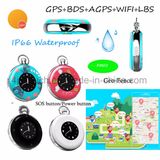 Hot Waterproof Mini GPS Personal Tracker with Time Display PM03