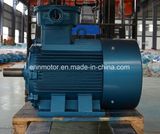 Hot Sale Eight-Pole Three-Phase Induction Pm Motor