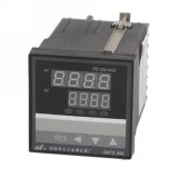 Temperature and Time Controller (XMTD-918T)