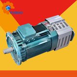 Passenger Hoist Motor Compatible for Sc200td Building Hoist Motor (11kw 15kw 18kw)