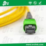 8f/12f/24f MPO-MPO Patchcord Jumper Optical Fiber Connector Sm Ofnp 10 Meters