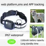 IP67 Waterproof Pet GPS Tracker with Long Standby (D60)