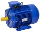 Russia Market Anp GOST Motor