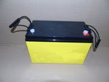12V 110ah Deep Cycle Traction Battery for Lifting Platform