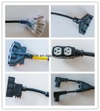 Extension Cord/Triple Tap Cord UL CSA