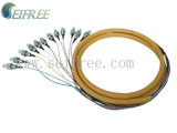12 Cores Fiber Optic Patch Cord Cable (SM, FC/UPC)