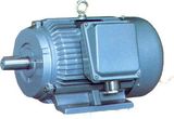 Marine Motor-Marine Three-Phase Asynchronous Motors