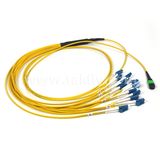 LSZH 12 Fibers MTP/MPO-LC Om3 Fiber Optic Patch Cord