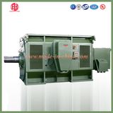 Yr Series Slip Ring High Voltage Three Phase Electric AC Motor