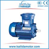 Yb2 Three Phase Explosion Proof AC Motor