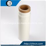 High Quality 6020 Polyester Film