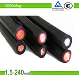 TUV 2 Pfg 1169/08.2007 Dual-Core Solar Panel Cable