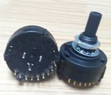 2 Pole 12 Position Dp12t Rotary Switch (RS26)