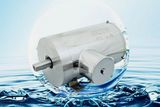 Stainless Steel Housing Motor, AC Motor, IP66, Tenv