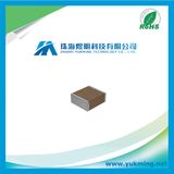 Multilayer Ceramic Chip Capacitor Vj2220A102kxustx1 of Surface Mount