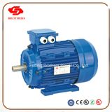 Ie3 220V Single Phase Europe Market for AC Motor