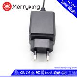12V/1A/12V/1000mA AC DC Power Supply Adapter